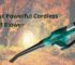 10 Best Powerful Cordless Leaf Blower 2023 – Top Picks