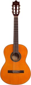 Ibanez natural classical guitar