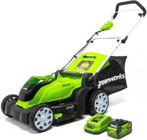 Greenworks G-MAX