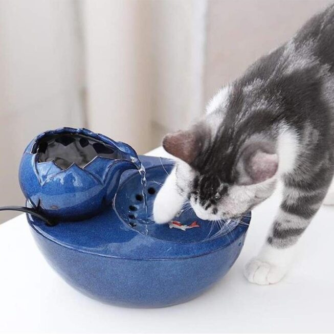 6 Best Ceramic Cat Water Fountains 2023 Buying Guide Reviews Papa