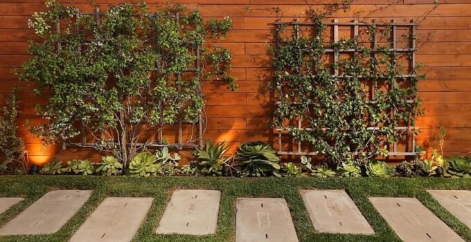 7 Tips for Choosing the Right Backyard Fence Colour – 2022 Guide