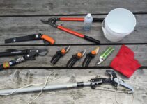 7 Best Tree Pruning Tools every house Owner Needs to Own