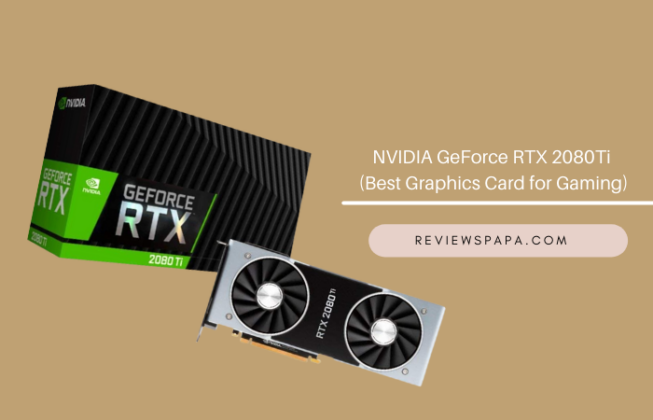 NVIDIA GeForce RTX 2080Ti ( Best Graphics Card for Gaming)
