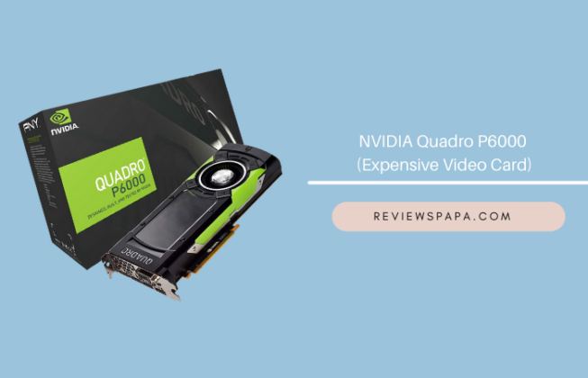 NVIDIA Quadro P6000 – (Expensive Video Card)