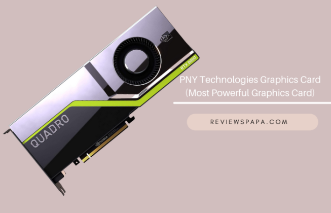 PNY Technologies Graphics Card (Most Powerful Graphics Card)